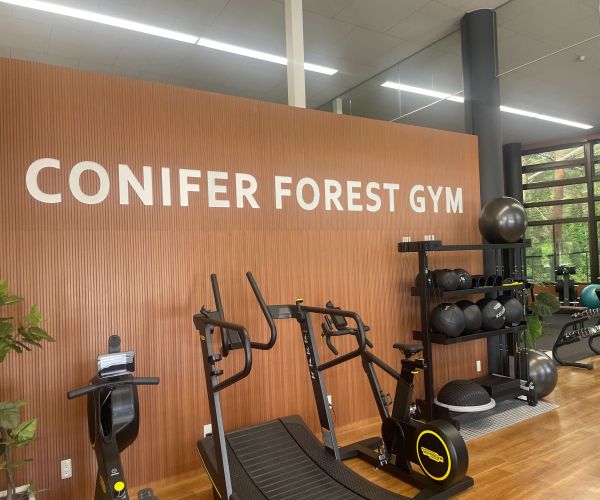 CONIFER FOREST GYM